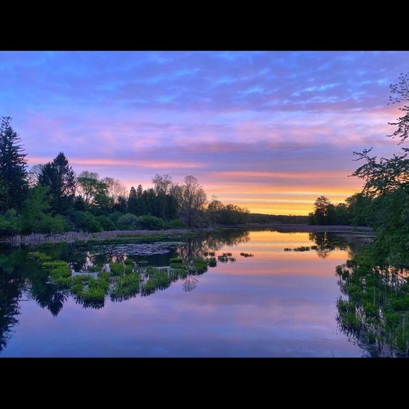 Meet your Posher, Elizabeth - Picture 1 of 1